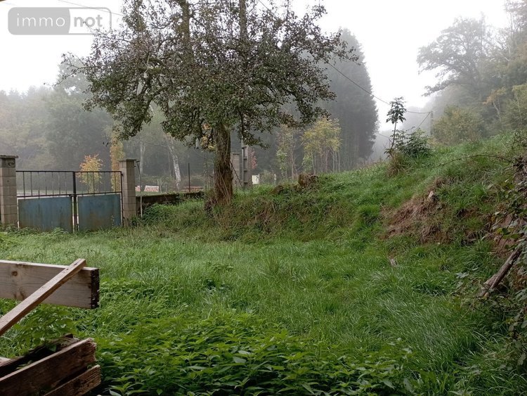 Viager maison Charmois-l'Orgueilleux 88270 Vosges  60000 euros