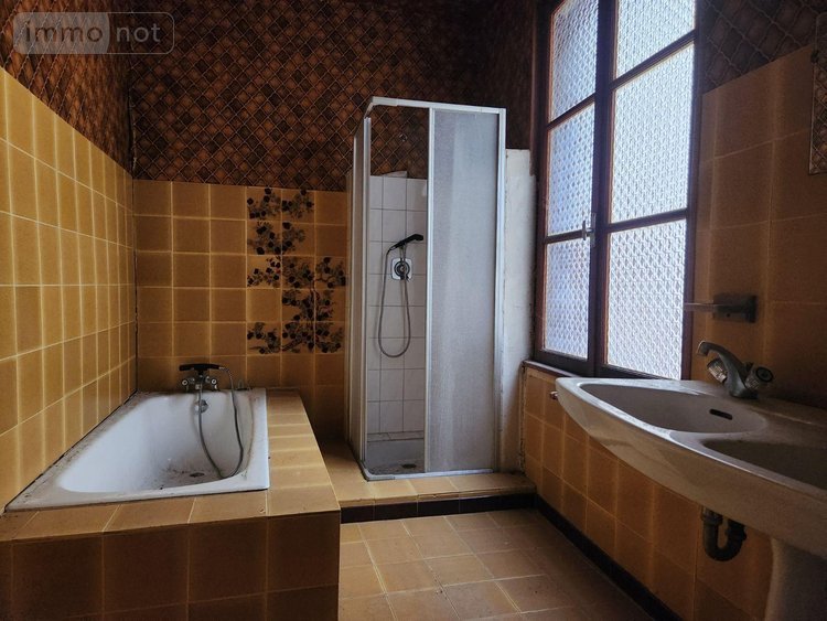 Immeuble a vendre Bar-sur-Aube 10200 Aube 191 m2  70000 euros