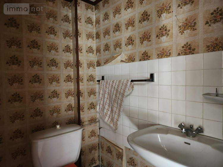 Immeuble a vendre Bar-sur-Aube 10200 Aube 191 m2  80000 euros