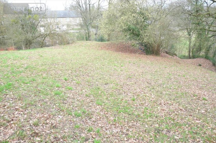 Terrains de loisirs bois etangs a vendre Ambrières-les-Vallées 53300 Mayenne 2451 m2  32000 euros