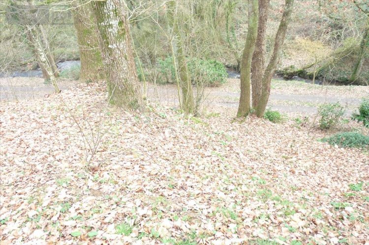Terrains de loisirs bois etangs a vendre Ambrières-les-Vallées 53300 Mayenne 2451 m2  32000 euros