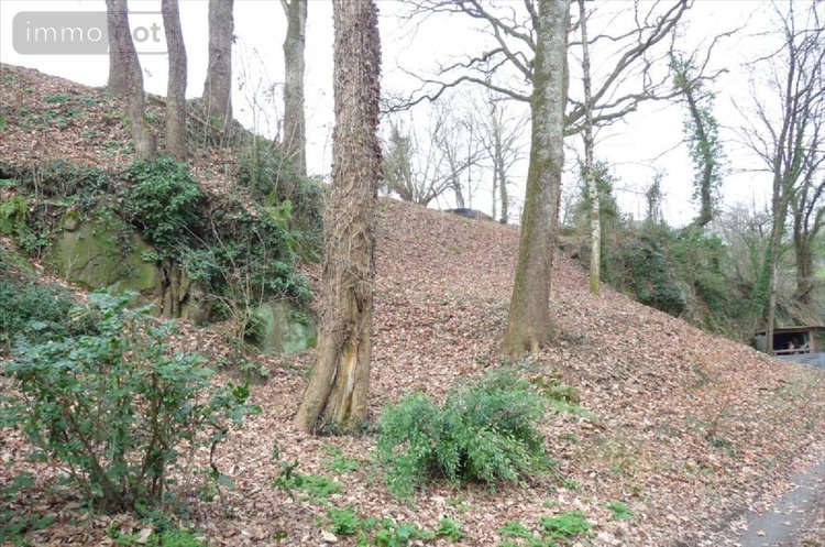 Terrains de loisirs bois etangs a vendre Ambrières-les-Vallées 53300 Mayenne 2451 m2  17500 euros