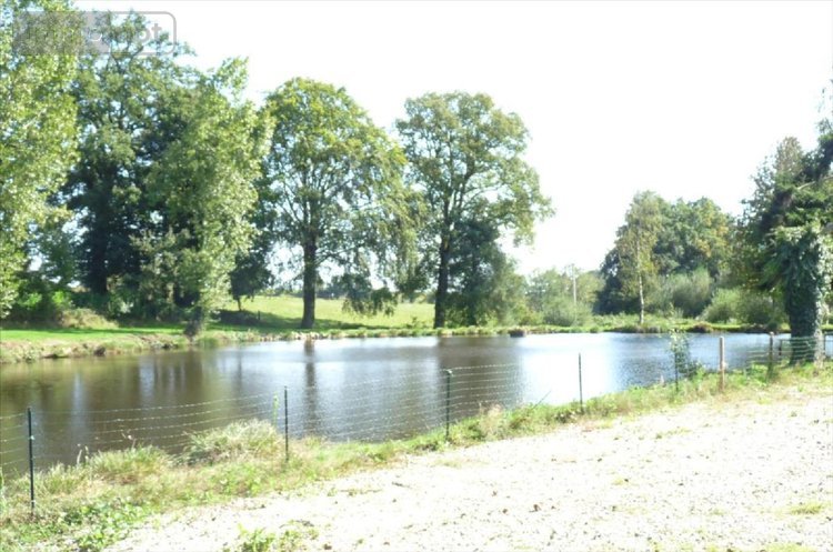 Terrains de loisirs bois etangs a vendre Vautorte 53500 Mayenne 11000 m2  84000 euros