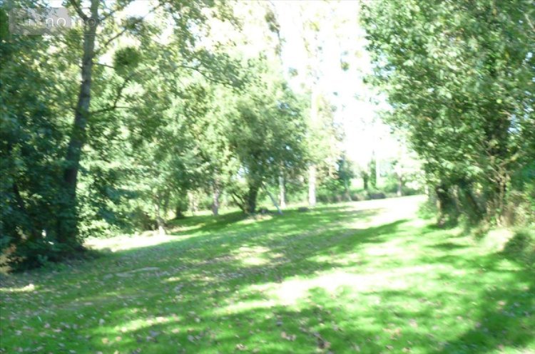 Terrains de loisirs bois etangs a vendre Vautorte 53500 Mayenne 11000 m2  84000 euros