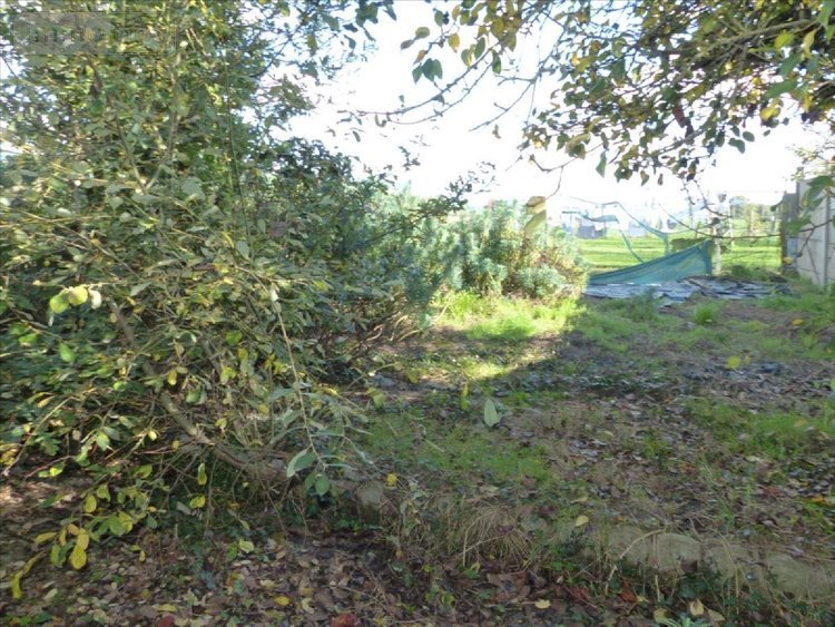 Maison a vendre Contest 53100 Mayenne 81 m2 4 pièces 42500 euros