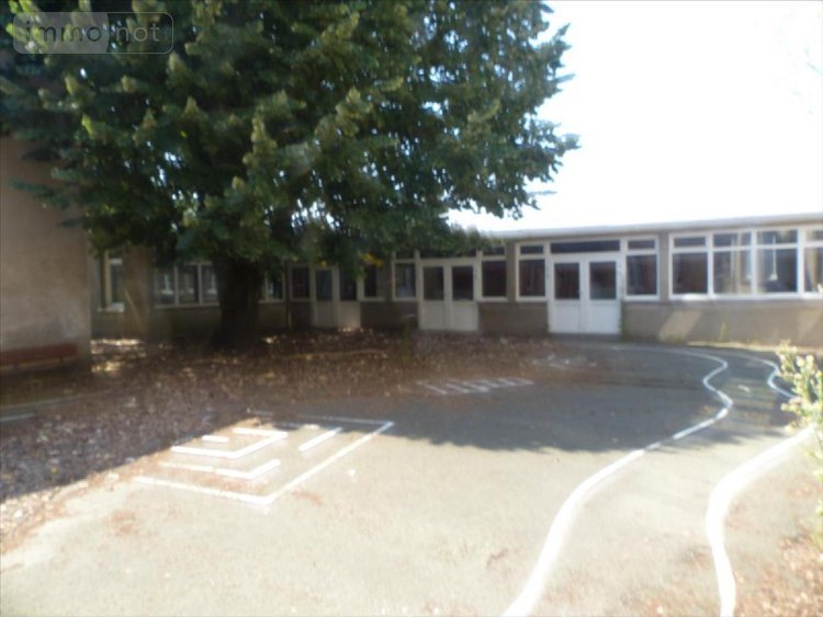 Immeuble a vendre Mayenne 53100 Mayenne 1193 m2  728000 euros