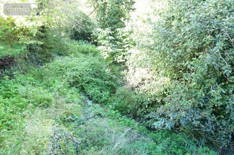 Maison a vendre Ambrières-les-Vallées 53300 Mayenne 175 m2 9 pièces 105000 euros