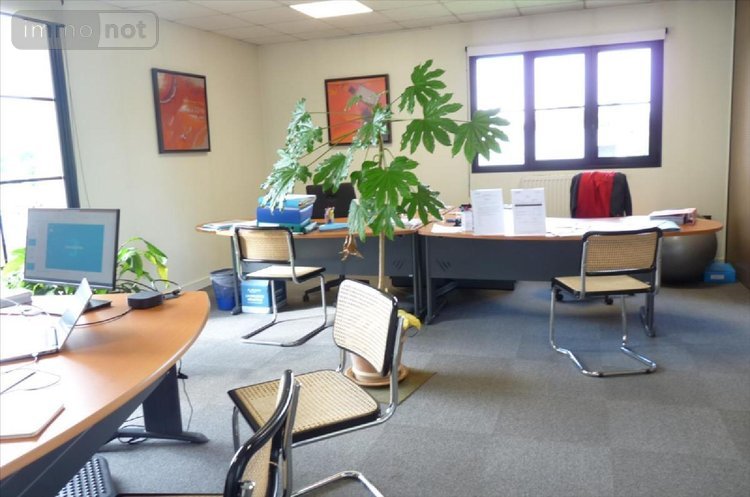 Fonds et murs commerciaux a vendre Mayenne 53100 Mayenne 390 m2  748800 euros