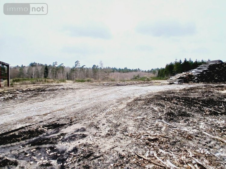 Fonds et murs commerciaux a vendre Eyrein 19800 Corrèze  502000 euros