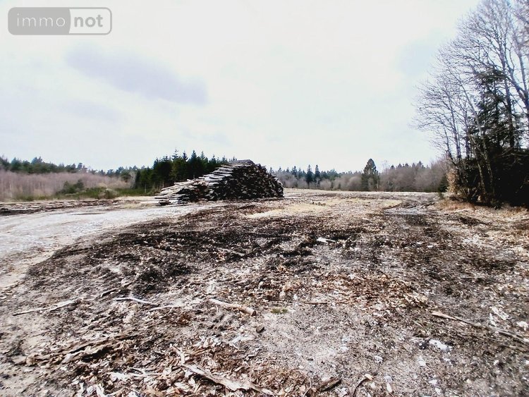 Fonds et murs commerciaux a vendre Eyrein 19800 Corrèze  502000 euros
