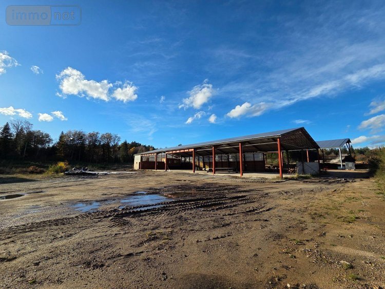 Immeuble a vendre Eyrein 19800 Corrèze  502000 euros