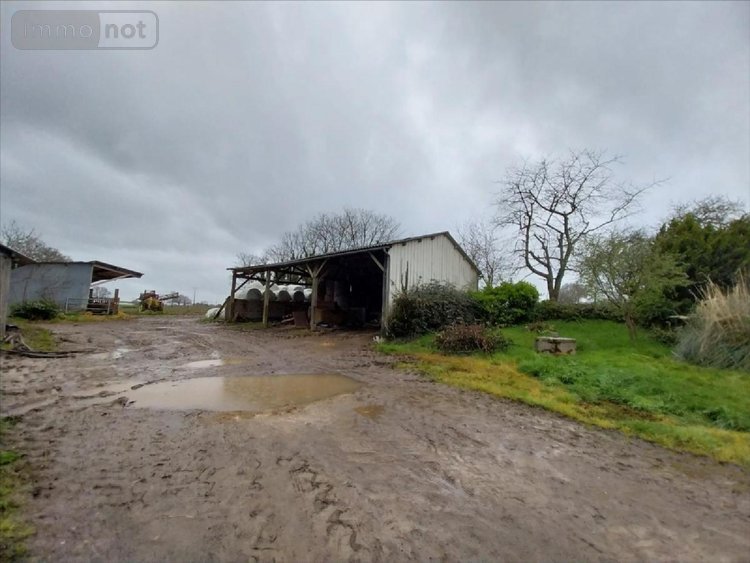 Maison a vendre Saint-Christophe-des-Bois 35210 Ille-et-Vilaine 85 m2 4 pièces 239200 euros