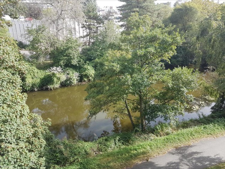 Location appartement Rennes 35000 Ille-et-Vilaine 58 m2 4 pièces 800 euros