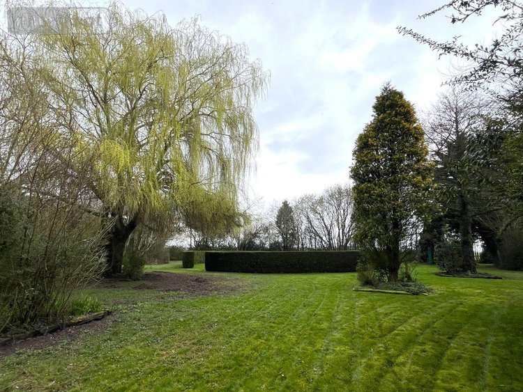 Maison a vendre Téteghem-Coudekerque-Village 59229 Nord 165 m2 6 pièces 499990 euros