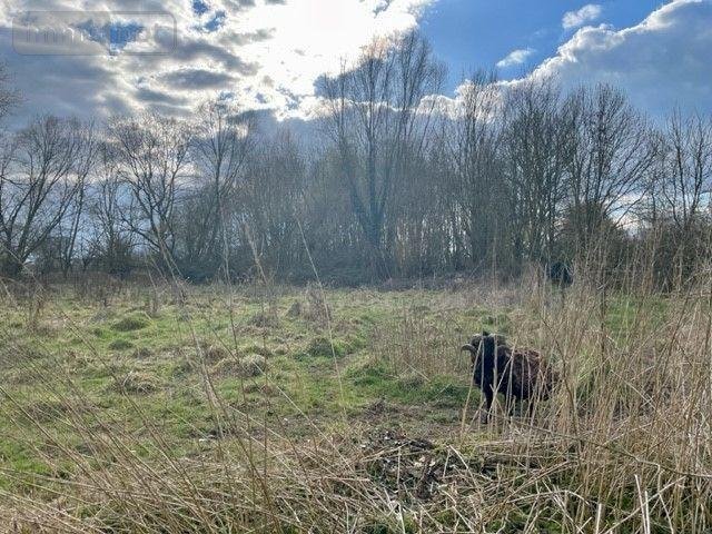 propriete a vendre Steenwerck 59181 Nord 170 m2 5 pièces 499000 euros