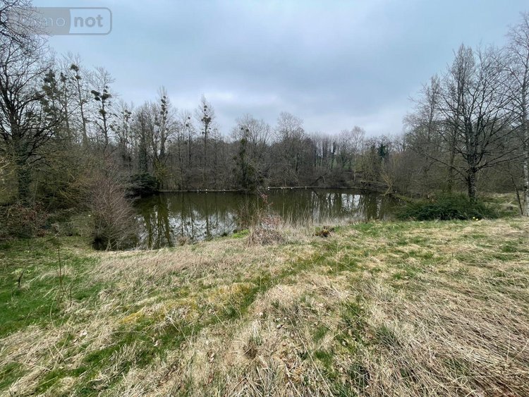 Maison a vendre Lassay-les-Châteaux 53110 Mayenne 274 m2 11 pièces 213730 euros