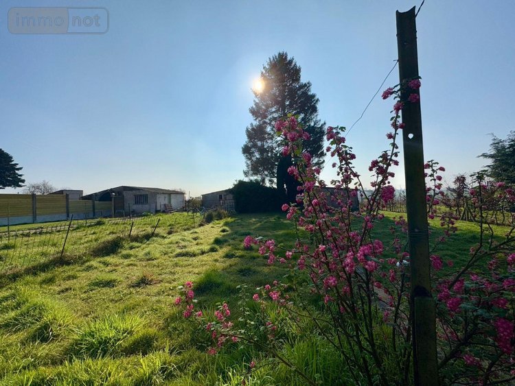 Maison a vendre Oxelaëre 59670 Nord 80 m2 5 pièces 131750 euros