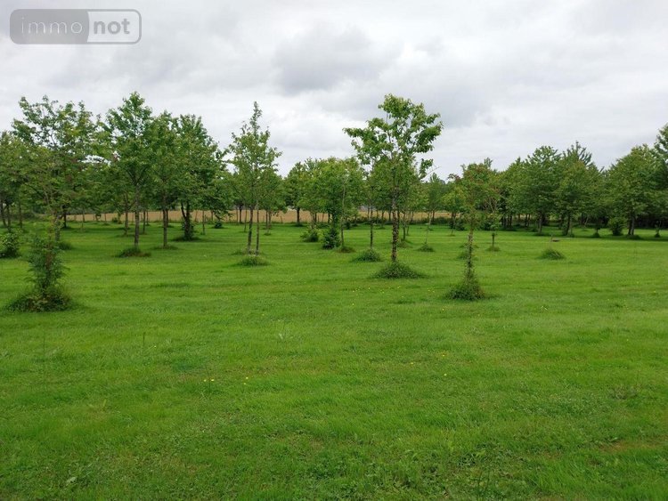 Maison a vendre Balazé 35500 Ille-et-Vilaine 120 m2 5 pièces 270400 euros
