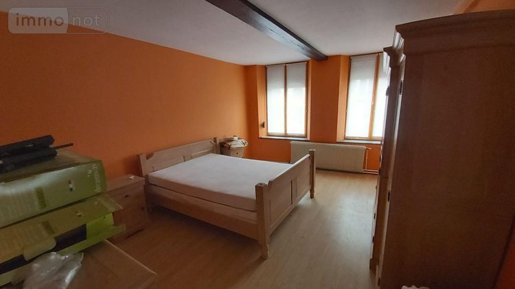 Maison a vendre Cousolre 59149 Nord 280 m2  220000 euros