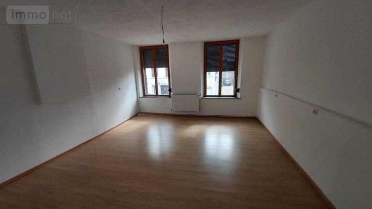 Maison a vendre Cousolre 59149 Nord 280 m2  220000 euros