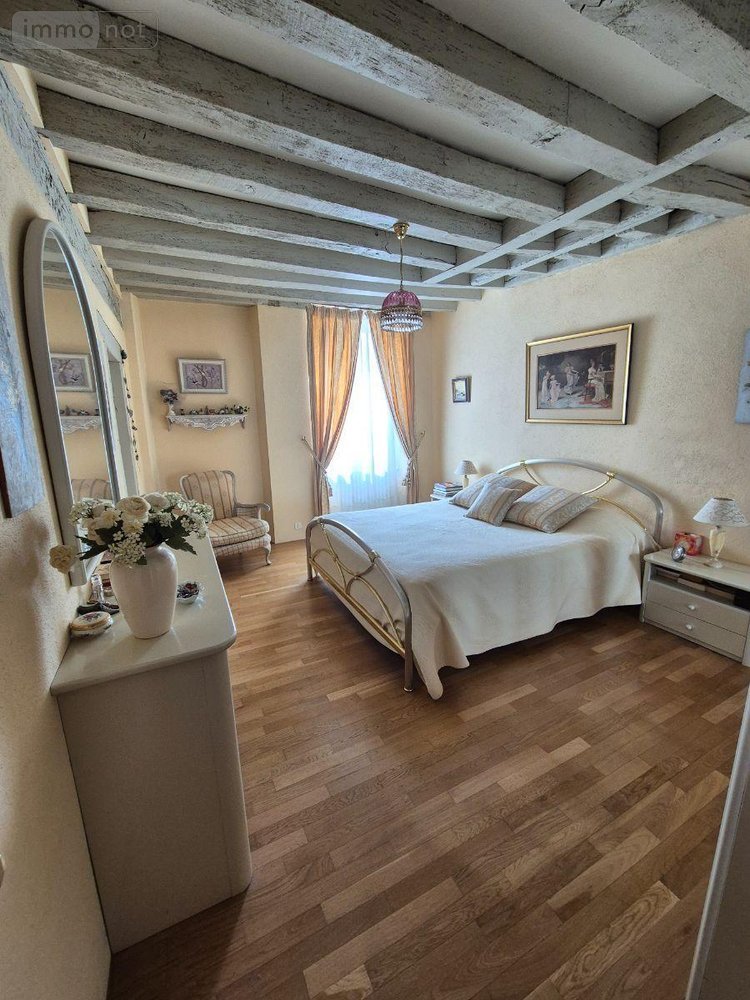 propriete a vendre Saint-Denis-de-Jouhet 36230 Indre 280 m2 8 pièces 499000 euros