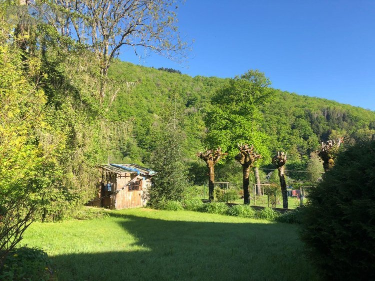 Maison a vendre Bassignac 15240 Cantal  53000 euros