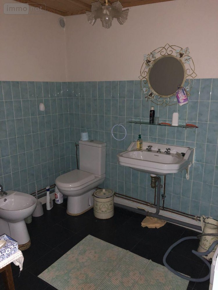 Maison a vendre Bassignac 15240 Cantal  53000 euros