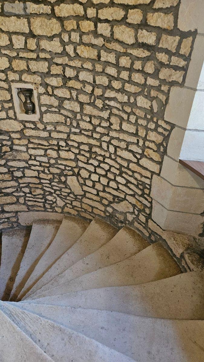 propriete a vendre Nieulle-sur-Seudre 17600 Charente-Maritime 523 m2 15 pièces 780000 euros