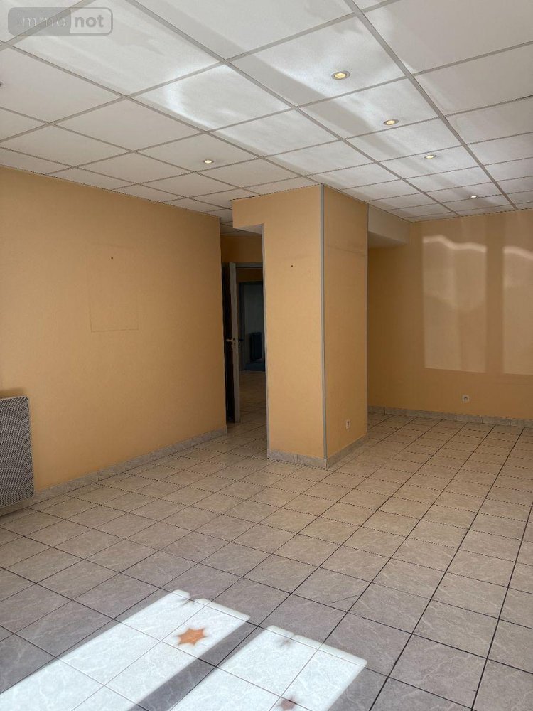Immeuble a vendre Troyes 10000 Aube 191 m2  199000 euros