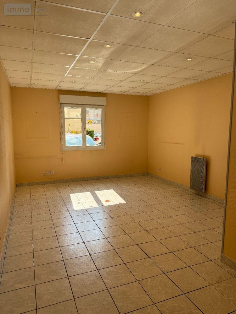 Immeuble a vendre Troyes 10000 Aube 191 m2  199000 euros