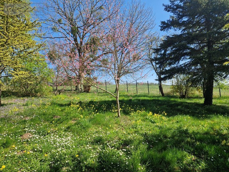 propriete a vendre Beurville 52110 Haute-Marne 195 m2 6 pièces 245000 euros