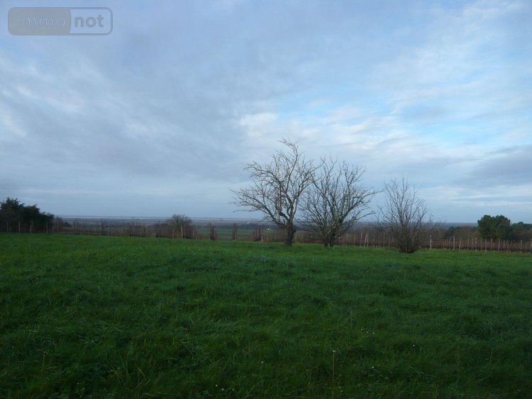 Maison a vendre Saint-Palais 33820 Gironde 50 m2 1 pièce 27500 euros