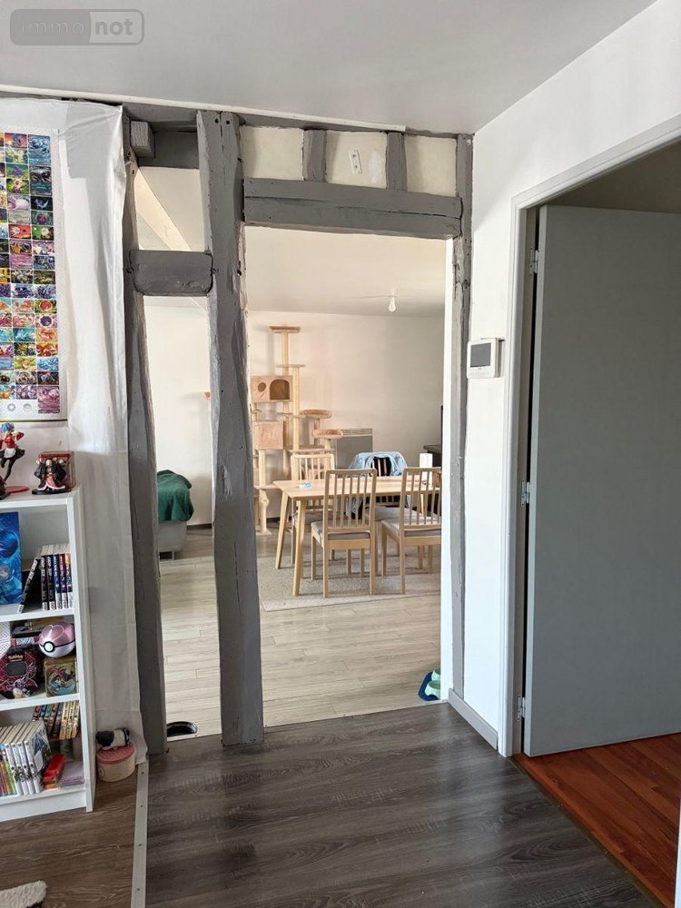 Immeuble a vendre Troyes 10000 Aube 142 m2  230000 euros