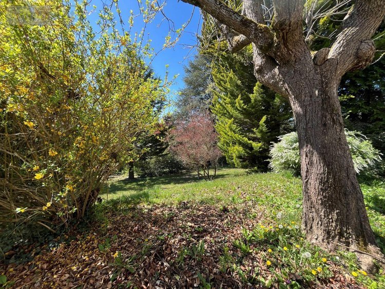 Maison a vendre Gourdon 71300 Saône-et-Loire 286 m2 7 pièces 240000 euros