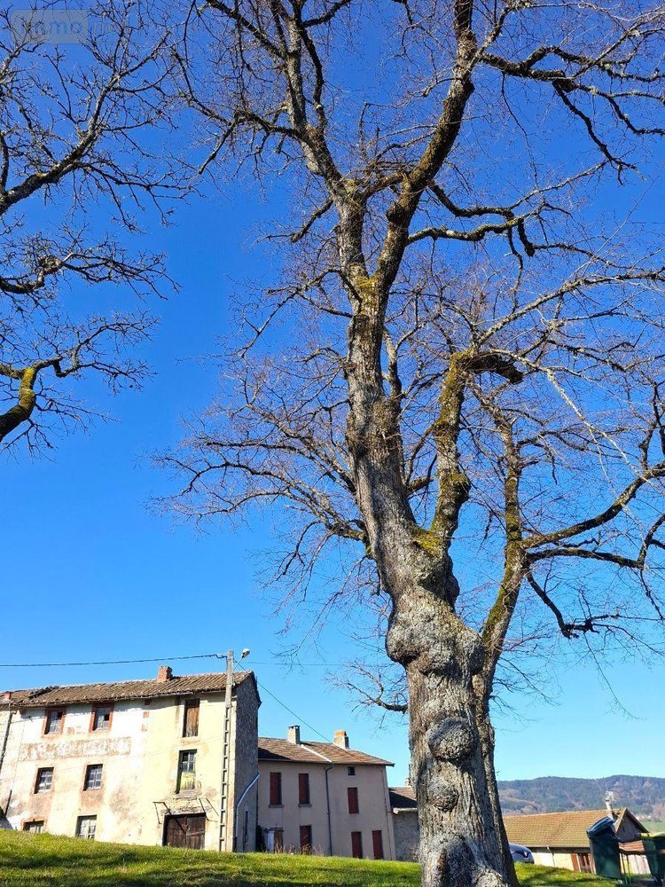 Maison a vendre Saint-Amant-Roche-Savine 63890 Puy-de-Dôme 100 m2 7 pièces 21000 euros