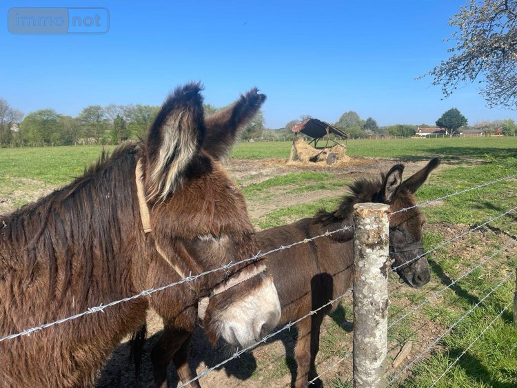 Maison a vendre Pruillé-l'Éguillé 72150 Sarthe 99 m2 6 pièces 127200 euros