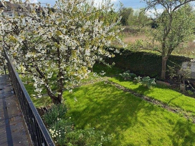 Maison a vendre Hesdin 62140 Pas-de-Calais 141 m2 9 pièces 198550 euros