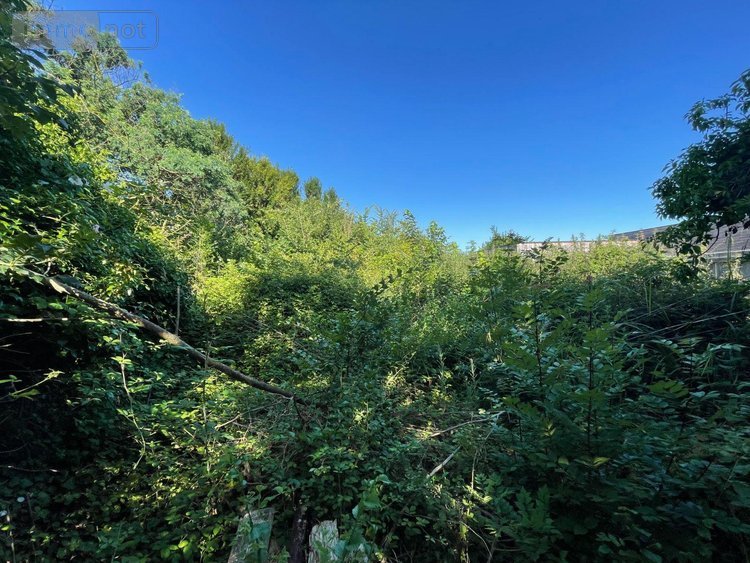 Maison a vendre Locquirec 29241 Finistère 90 m2 4 pièces 229500 euros