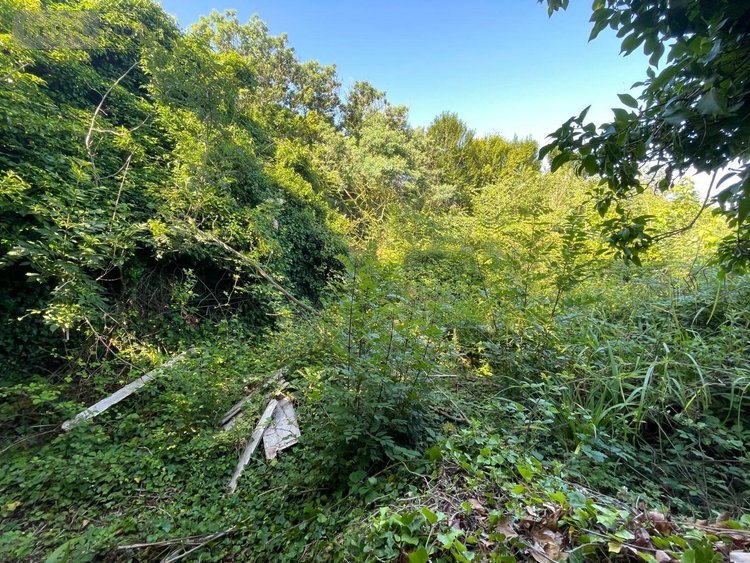 Maison a vendre Locquirec 29241 Finistère 90 m2 4 pièces 229500 euros