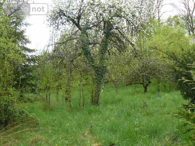 Maison a vendre Isches 88320 Vosges 94 m2 5 pièces 34000 euros