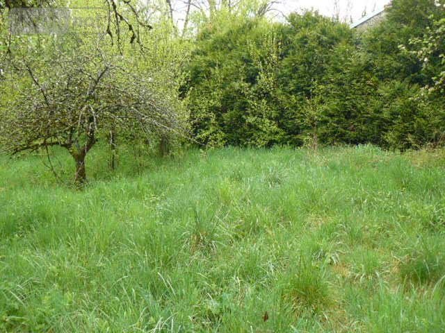 Maison a vendre Isches 88320 Vosges 94 m2 5 pièces 44000 euros