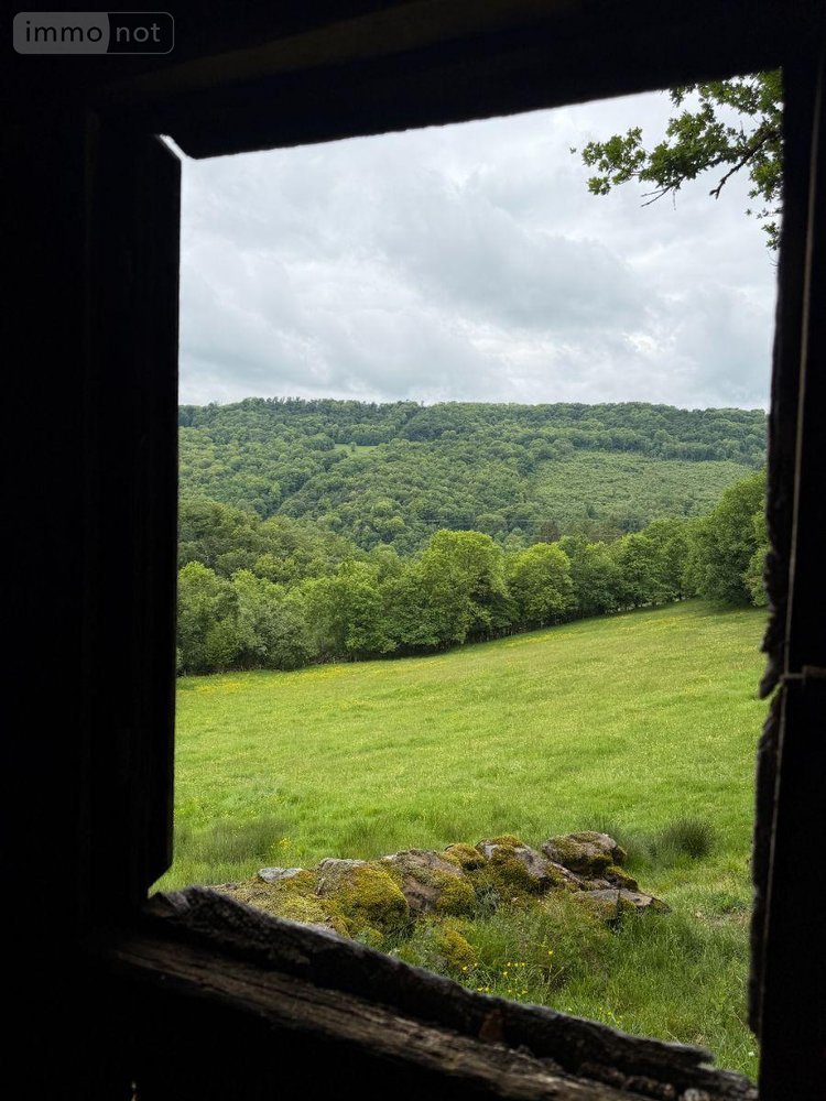 Maison a vendre Méallet 15200 Cantal 100 m2  53000 euros