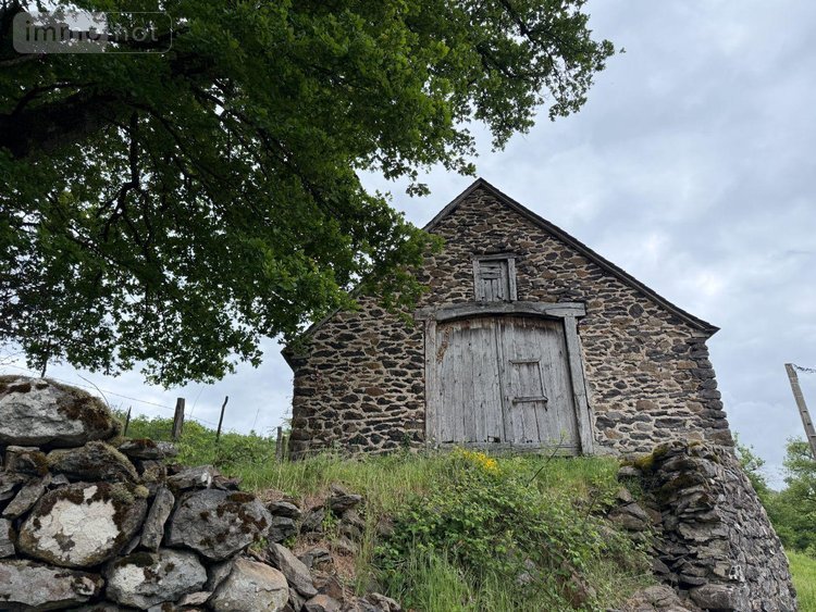 Maison a vendre Méallet 15200 Cantal 100 m2  53000 euros