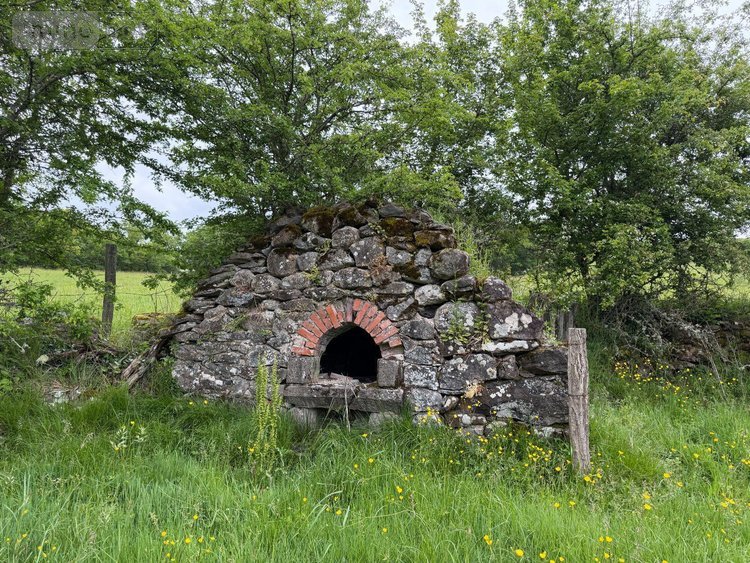 Maison a vendre Méallet 15200 Cantal 100 m2  53000 euros
