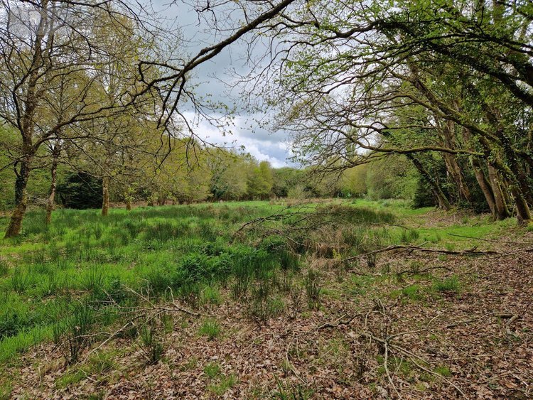 Maison a vendre Maël-Carhaix 22340 Côtes-d'Armor 64 m2 4 pièces 137800 euros