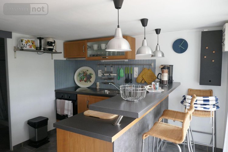 Maison a vendre Le Menoux 36200 Indre 32 m2 2 pièces 59360 euros