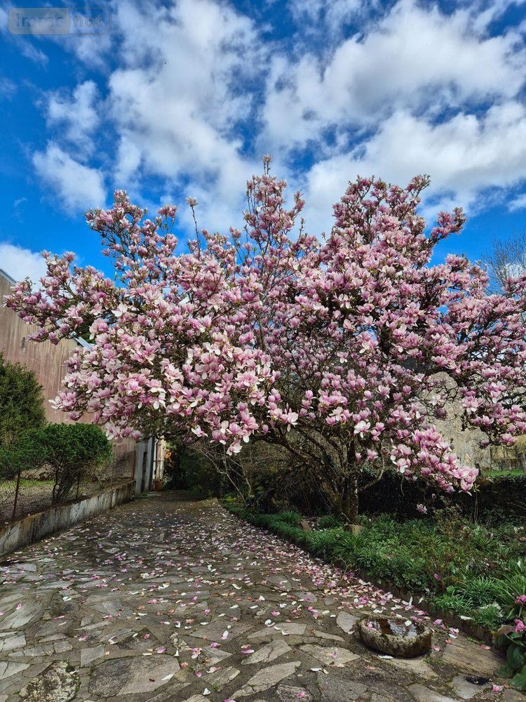 Maison a vendre Crozon-sur-Vauvre 36140 Indre 63 m2 4 pièces 53000 euros