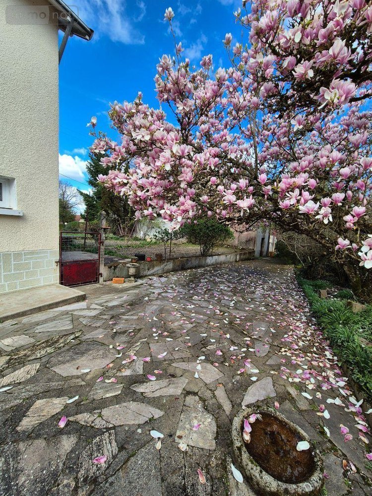 Maison a vendre Crozon-sur-Vauvre 36140 Indre 63 m2 4 pièces 53000 euros