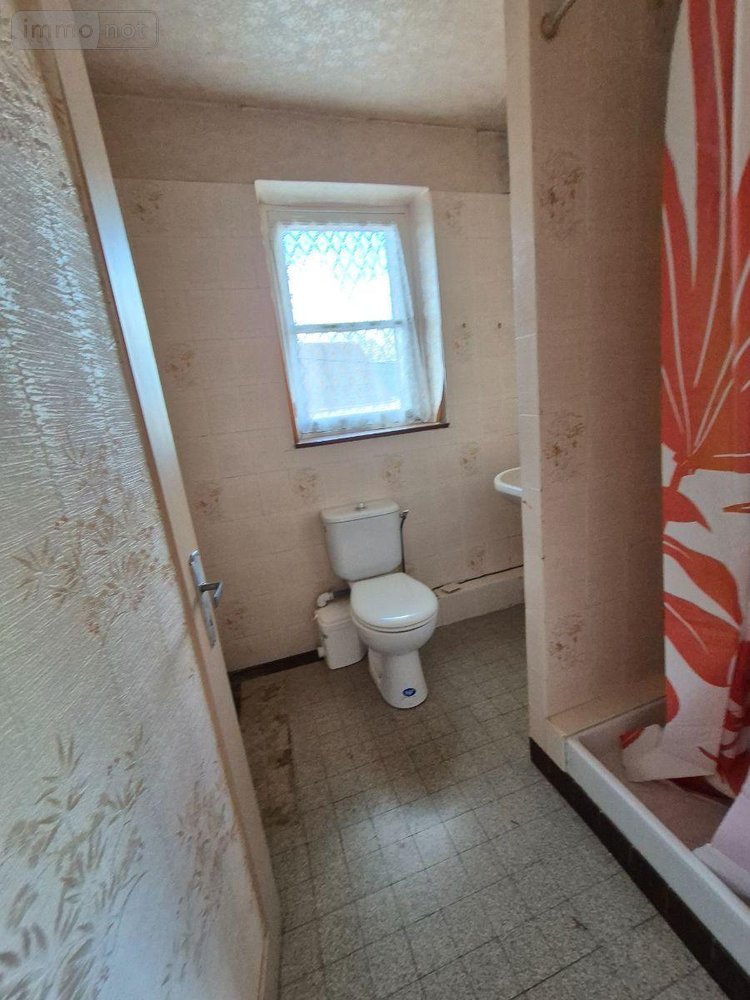 Maison a vendre Crozon-sur-Vauvre 36140 Indre 63 m2 4 pièces 53000 euros