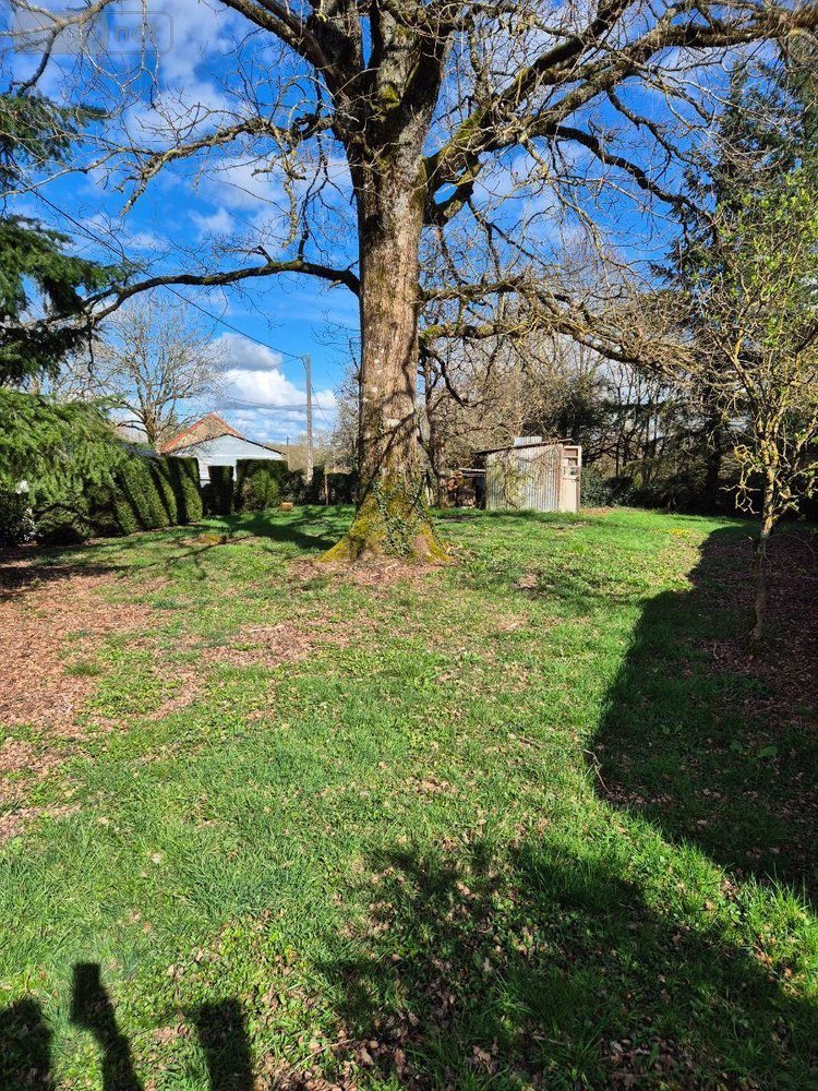 Maison a vendre Crozon-sur-Vauvre 36140 Indre 63 m2 4 pièces 53000 euros